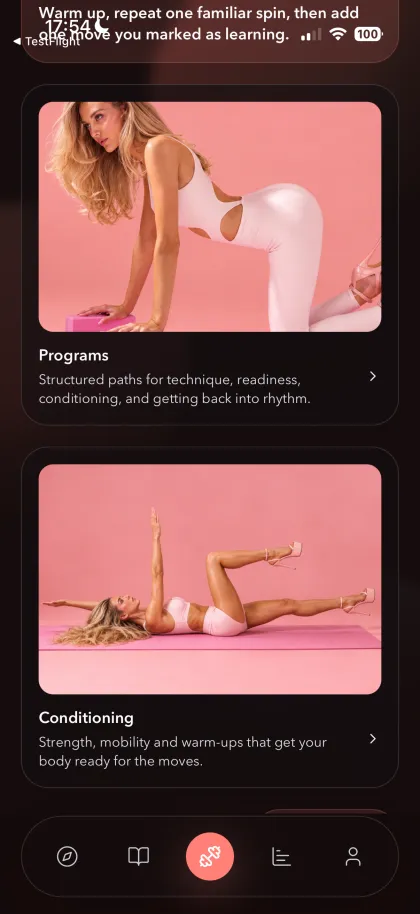 Vixen pole programs and conditioning for strength and mobility